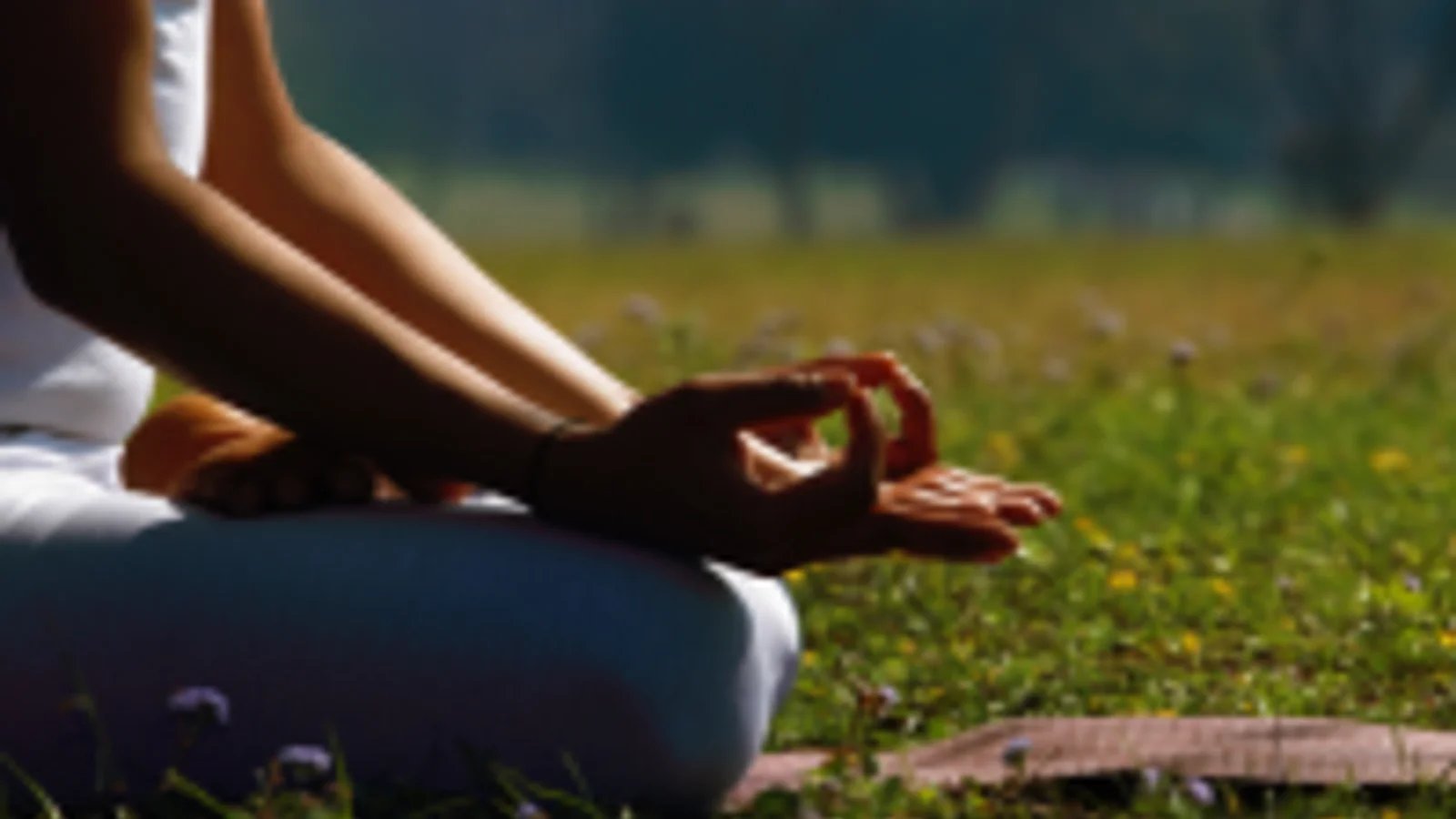 7 Day Body Detox Retreat With Ayurveda and Yoga in Almora, Himalaya, India